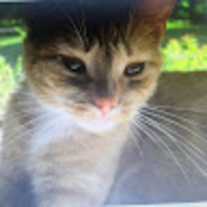 Meet your Posher, Catherine